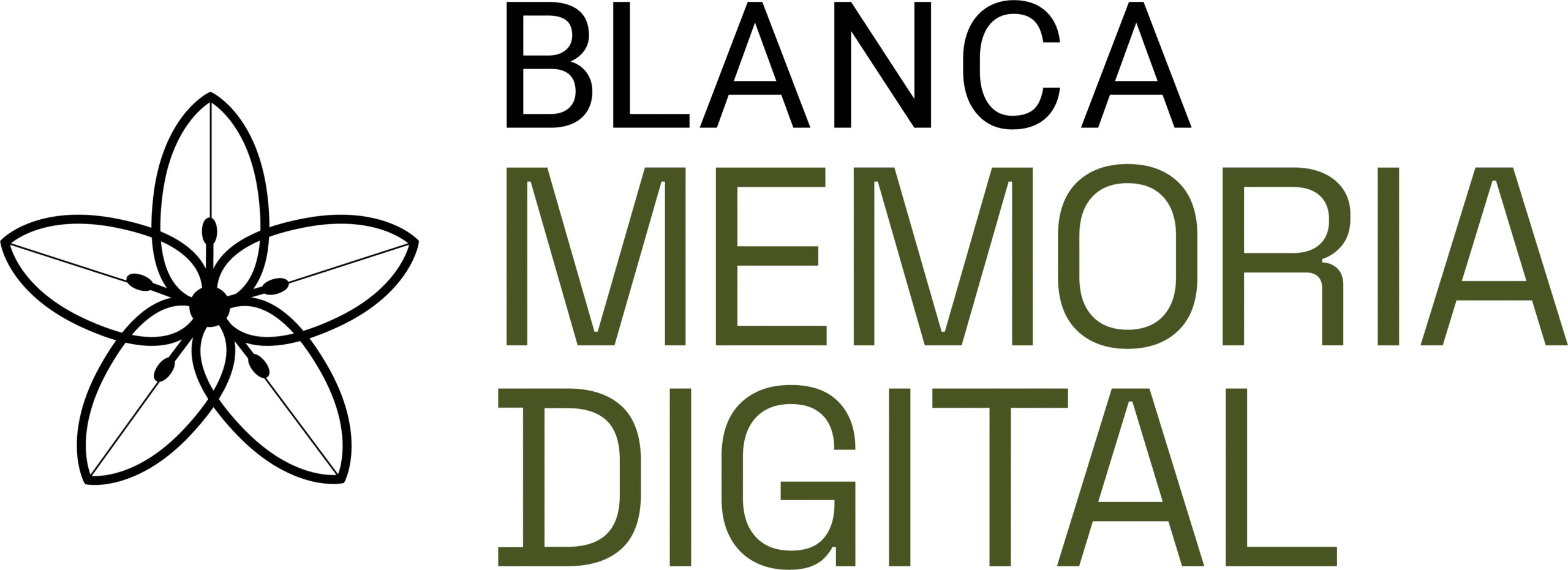 Blanca, Memoria Digital